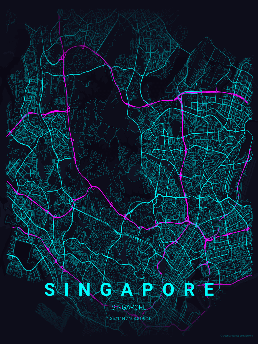 Singapore city map poster — custom map wall art